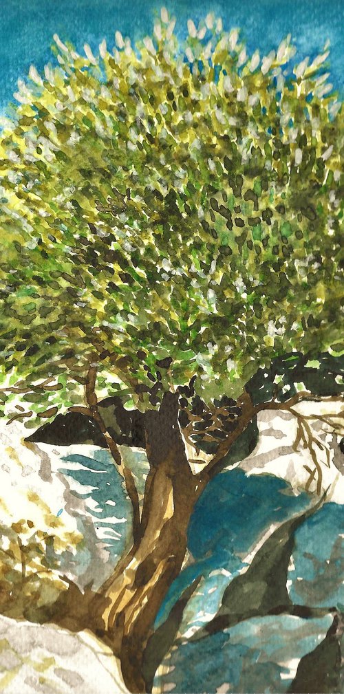 OLIVE TREE II by Nives Palmić