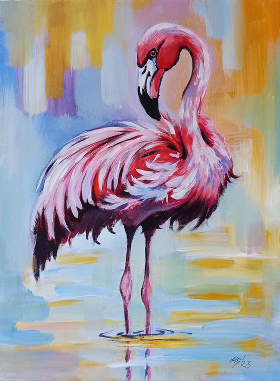 Flamingo