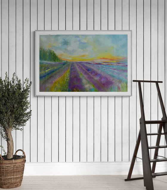 Lavender Fields 2026