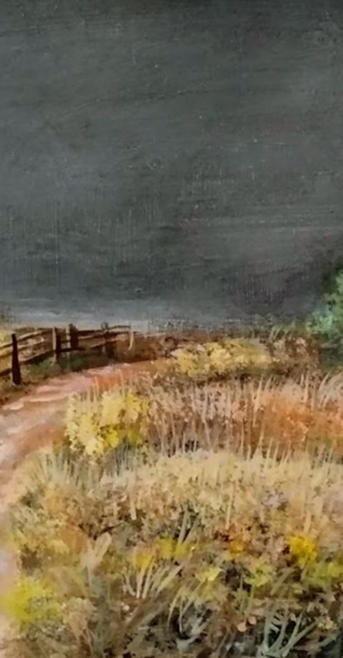 meadows by Vishalandra Dakur