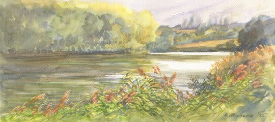 Red orange reed / Pond Watercolor landscape