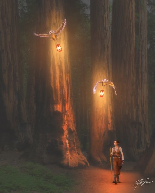 Redwood Adventure II by Tony Fowler