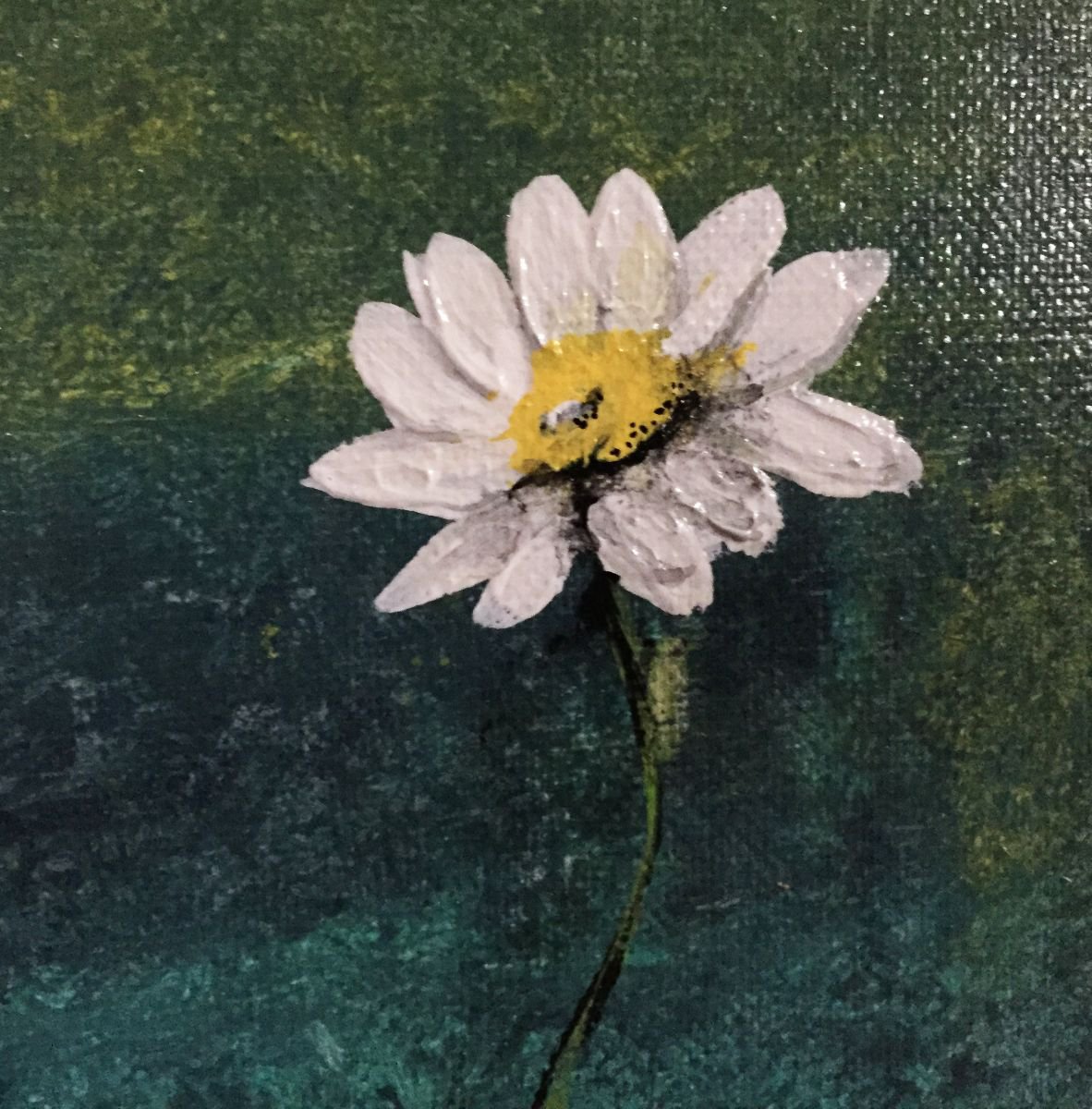 Impressionistic Botanical Acrylic Painting By Carolyn Shoemaker (Soma), 12 X 12, Daisies, Original Artwork