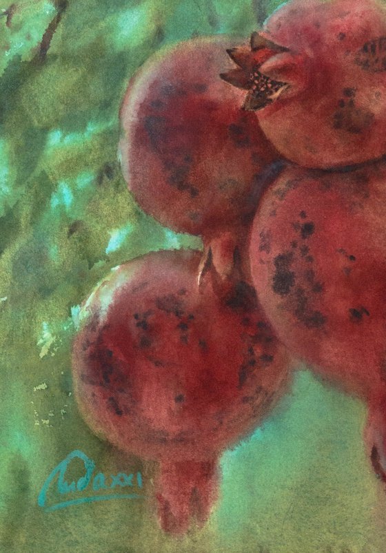 Pomegranate in the garden