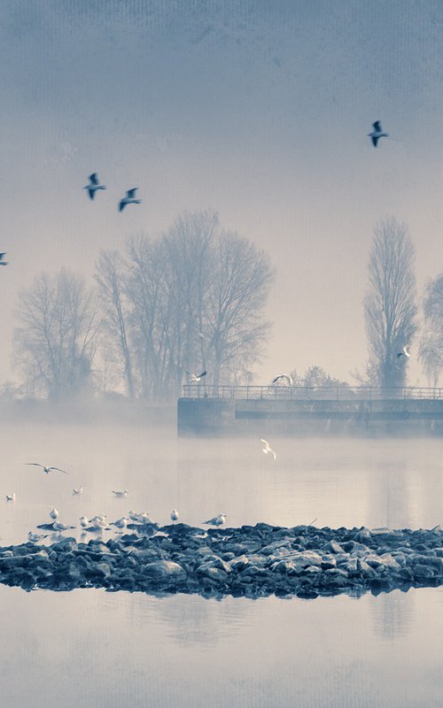 Seagull Island. by Valerix