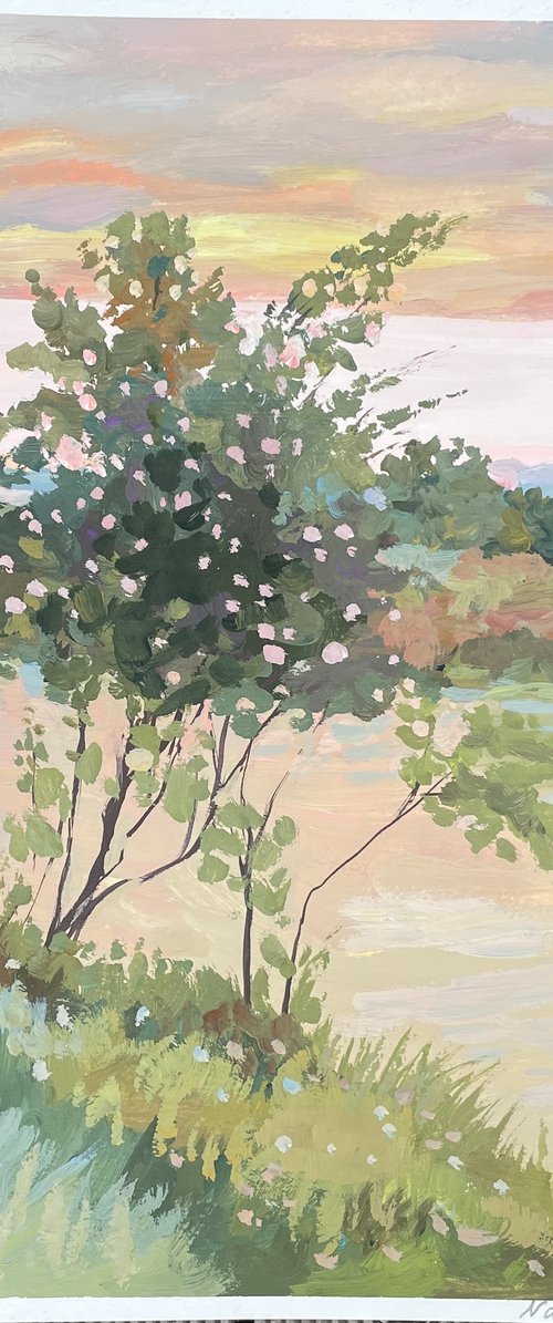 Blooming tree along the channel du Midi by Nadezda Stupina