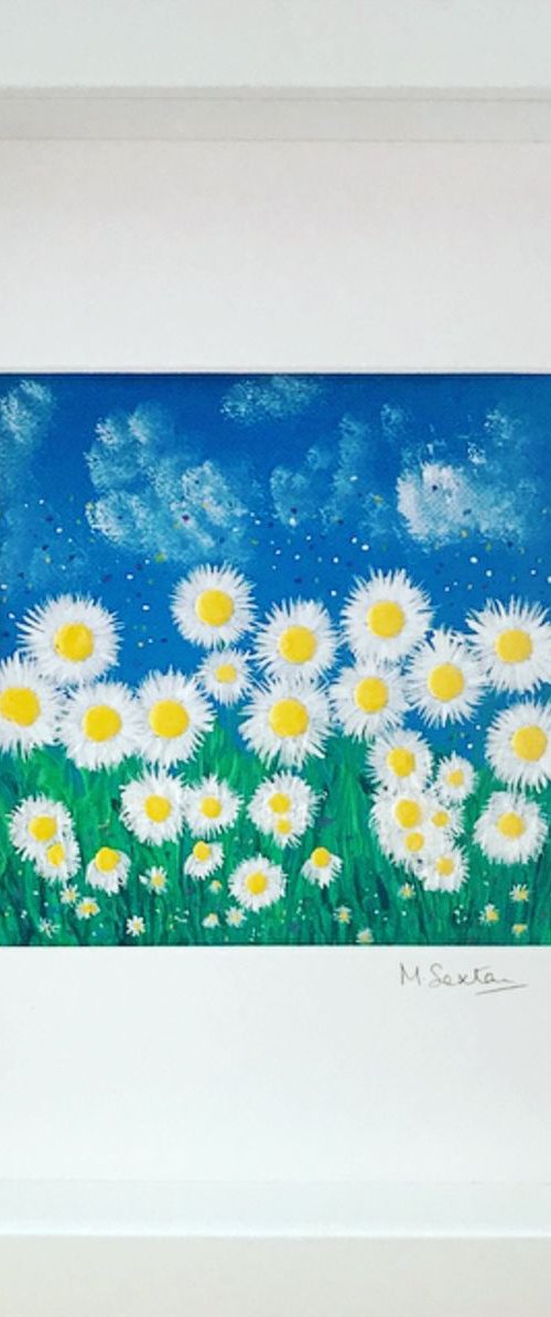 Miniature Daisies by Miki Sexton