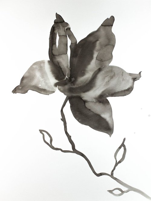 Magnolia No. 16 by Elizabeth Becker