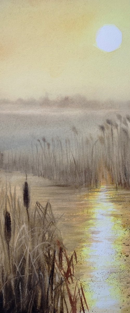 Dry reed on the river by Olga Beliaeva Watercolour