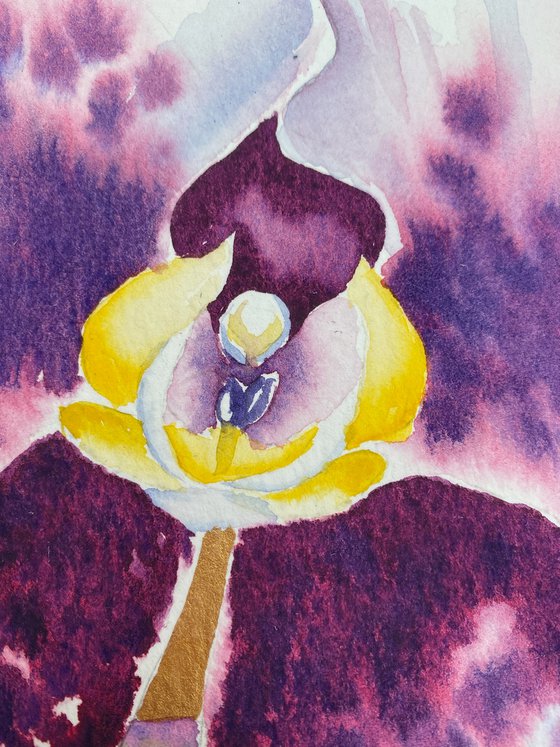Into Paradise I- Splendid Orchid