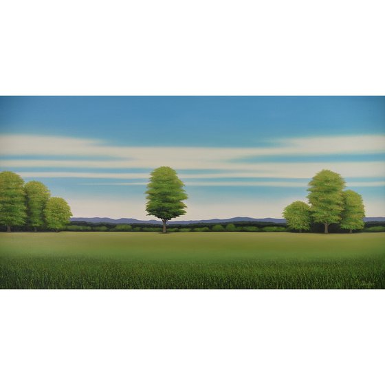 Countryside Trees - Blue Sky