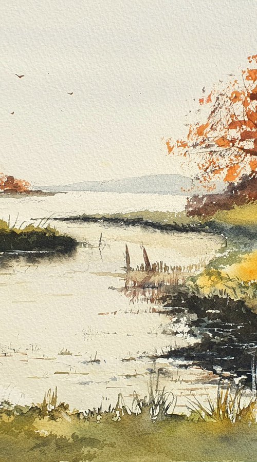 Meadow and Stream Reflections by Charles Pierson