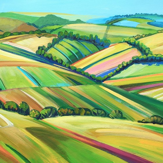 Hills, Fields, Meadows