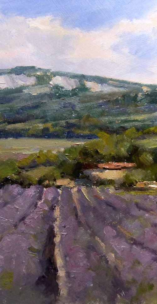 Lavender Field near Valensol by Pascal Giroud