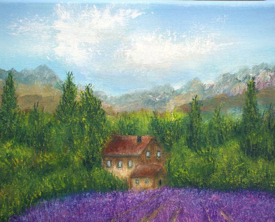 Lavender field