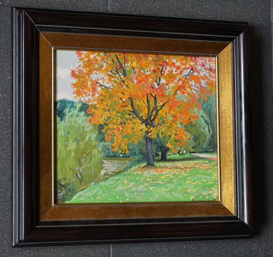 Autumn maple by the pond