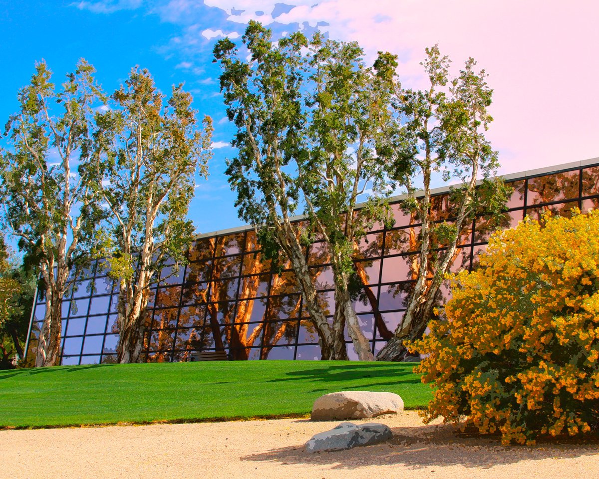 Impressionistic Cityscapes Photograph By William Dey, 32 X 26", Into The Mirror Palm Springs, Original Artwork