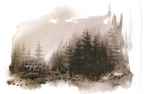 Places XXXI - Watercolor Pine Forest by ieva Janu