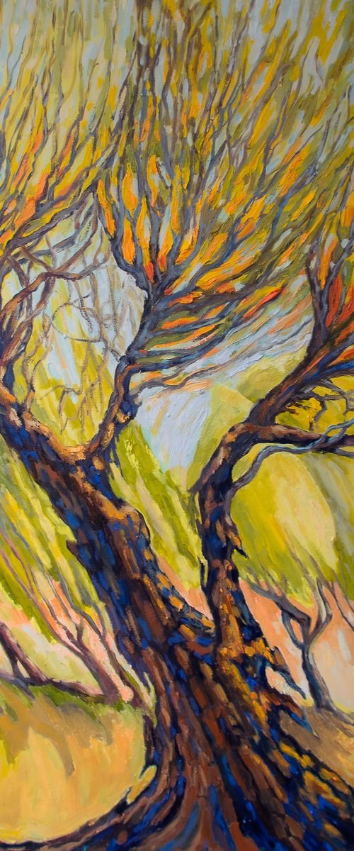 Voices from Afar by Lilit Vardanyan