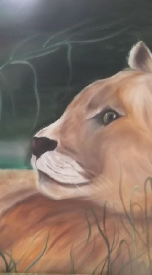 Cheetah by Timea  Valsami