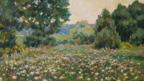 The Twilight Meadow
