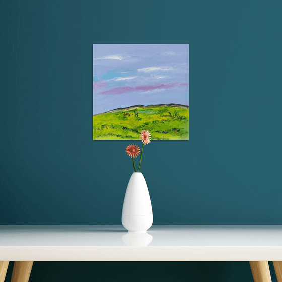 Un pré en montagne