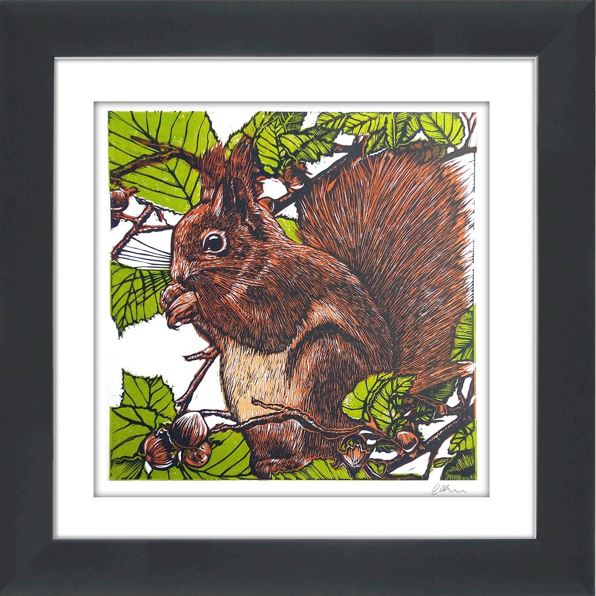 Natures feast- framed and ready to hang (linocut red squirrel) by Carolynne Coulson