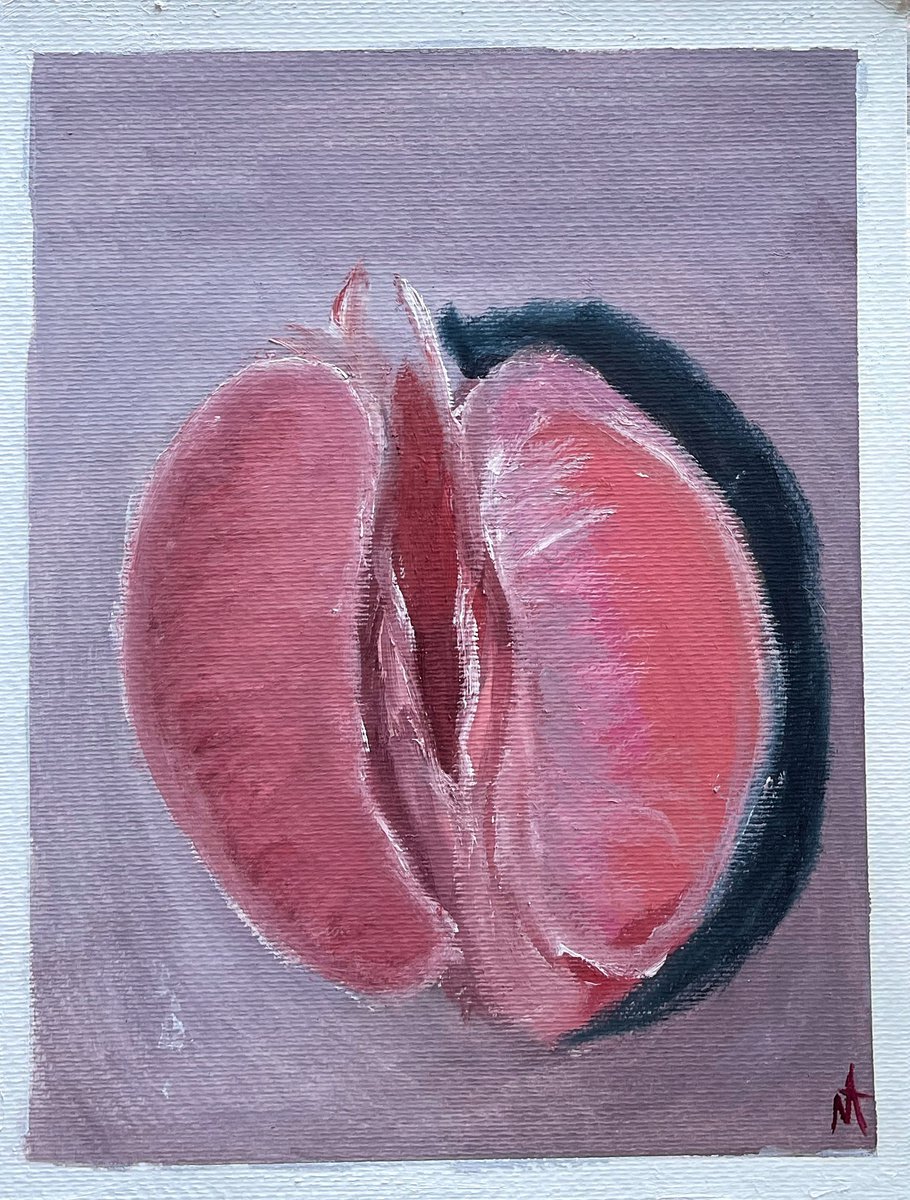 Grapefruit, 24x32 cm by Anastasiia Novitskaya