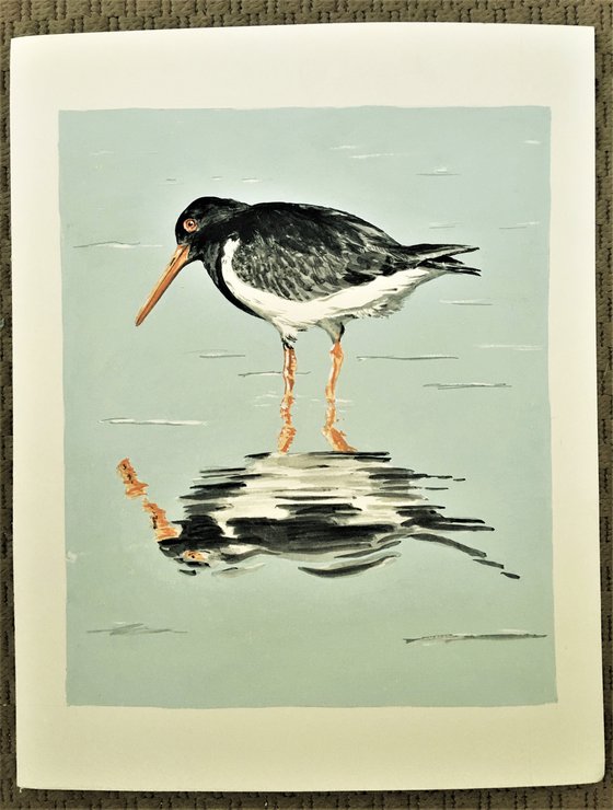 Oystercatcher # 2