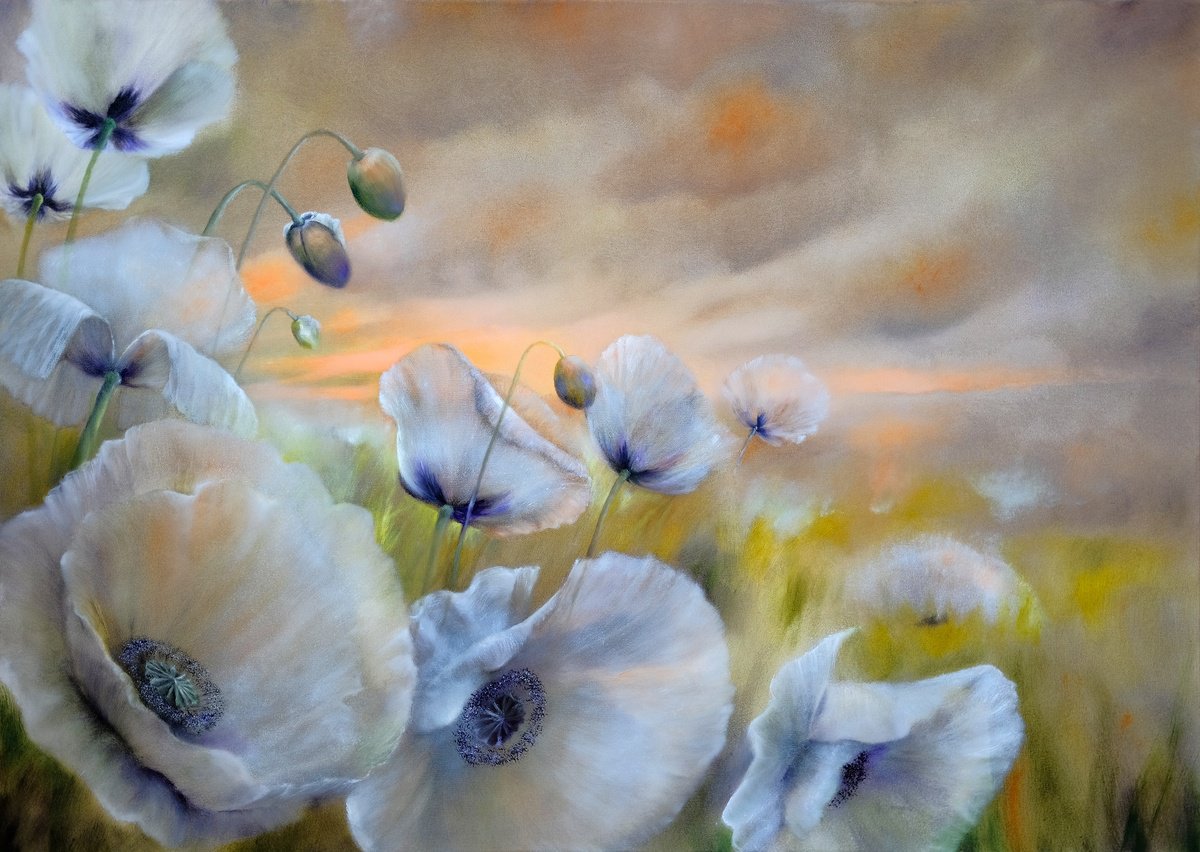 White poppies by Annette Schmucker