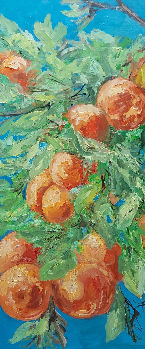 Orange tree by Els Driesen