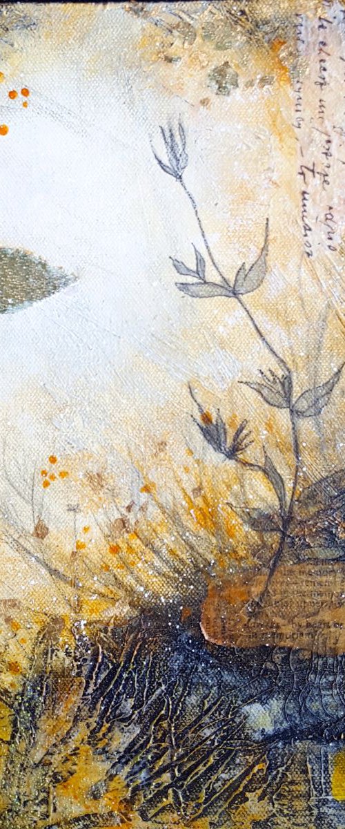 A hundred years of solitude by Laura Spring