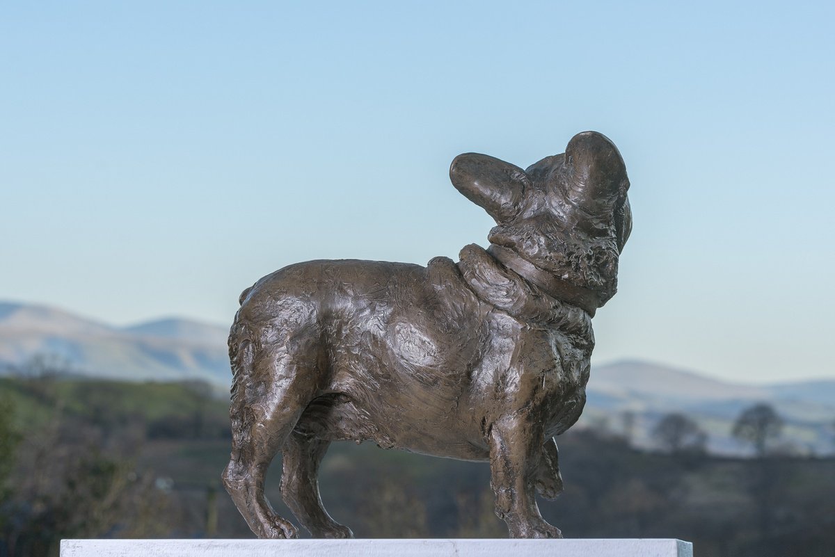 Animal Bronze Sculpture By Tanya Russell, 16 X 17", French Bulldog Lifting Paw Br, Original Artwork