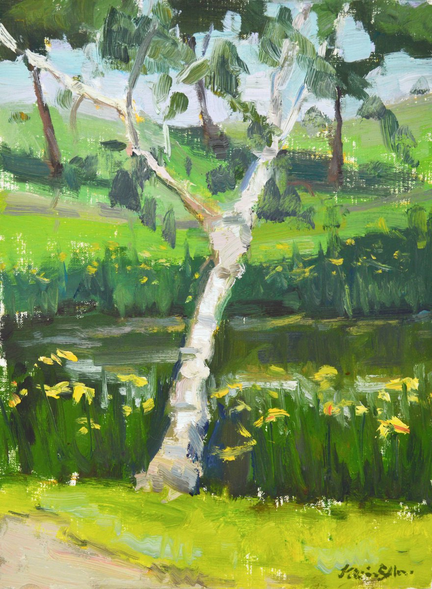 Impressionistic Landscape Oil Painting By Kristina Sellers, 9 X 12", Graceful Birch, Original Artwork