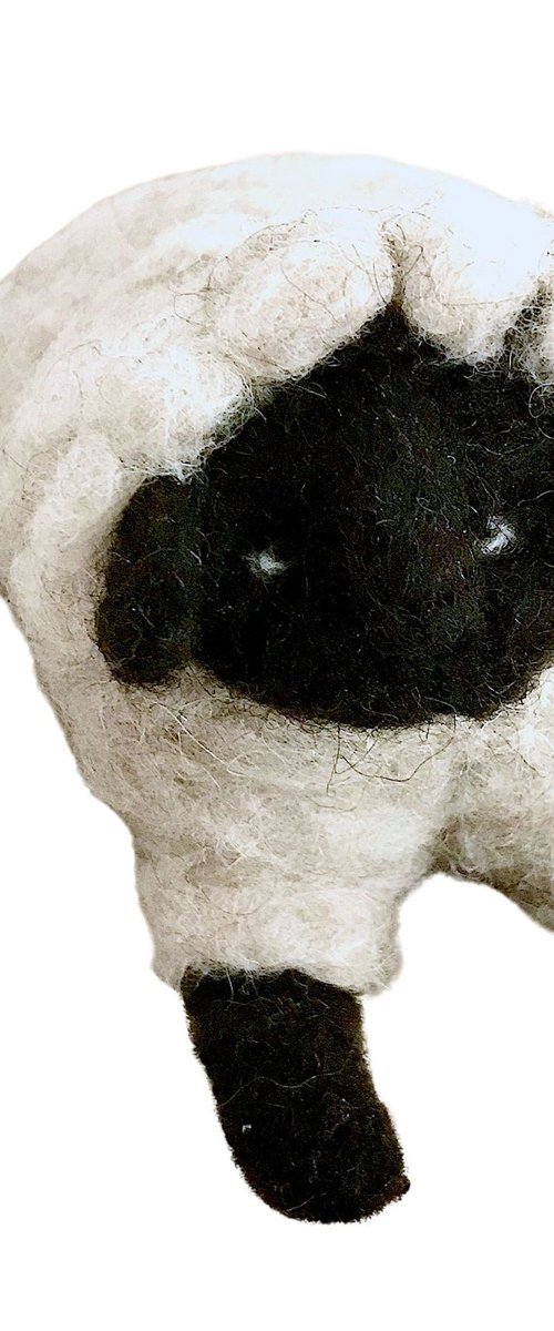 Black-headed sheep, wool by Eleanor Gabriel