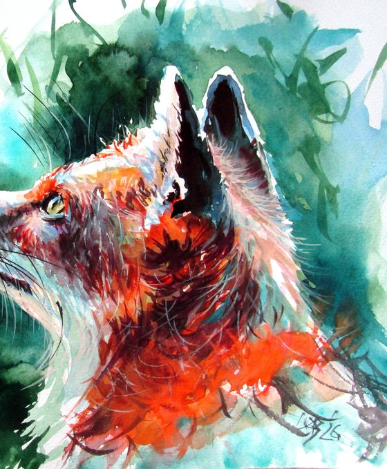 Red fox III