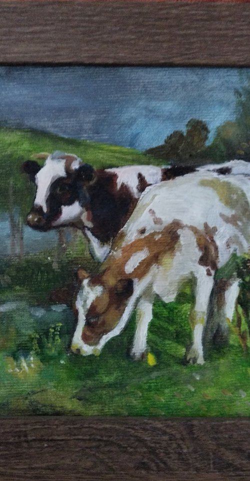 cows by Viktória Déri