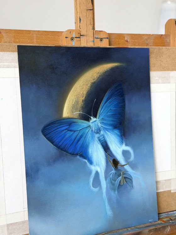 Night dream