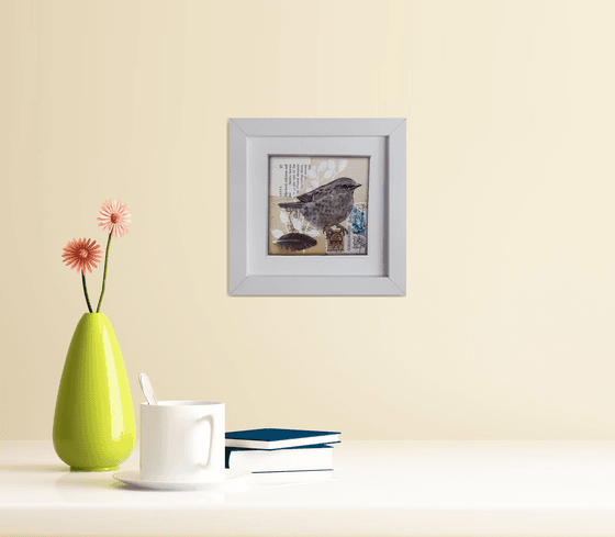 The Dunnock feather  (framed and ready to hang)