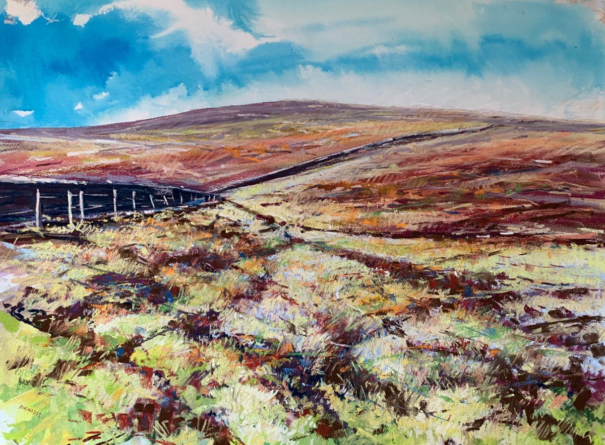 Moorland Colour by Andrew Moodie
