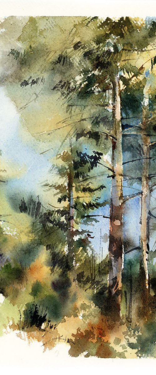 Carmel forest watercolor painting by Sophie Rodionov
