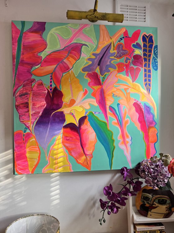 'Rainbow Alocasia'