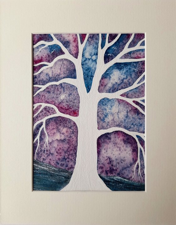 Quiet Calmness + Light in the Storminess