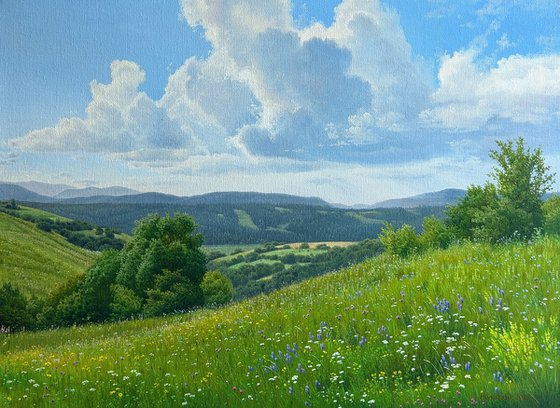 Meadows of early summer