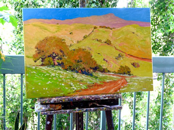 Rolling Green HIlls. California