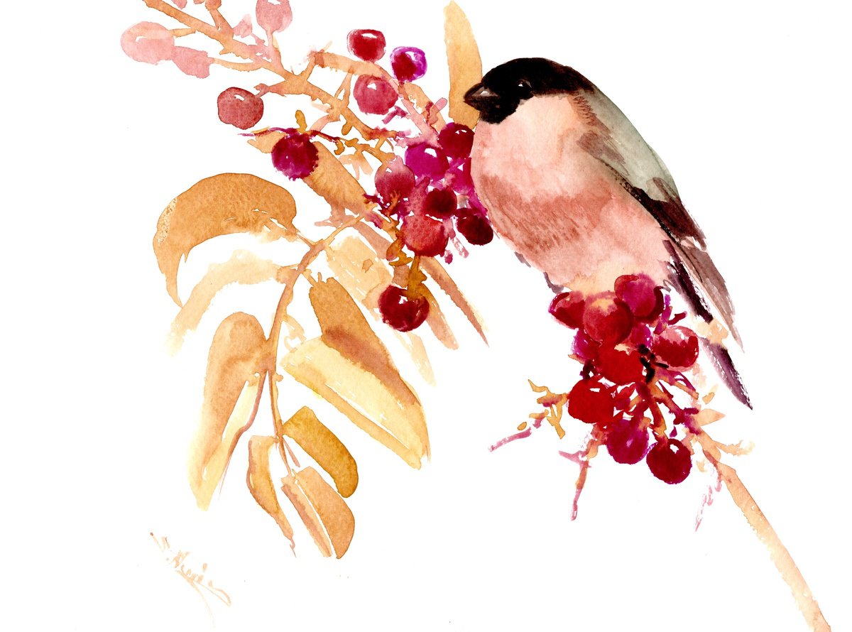 Bullfinch in the Autumn by Suren Nersisyan