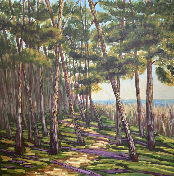 Walk Along the Coast