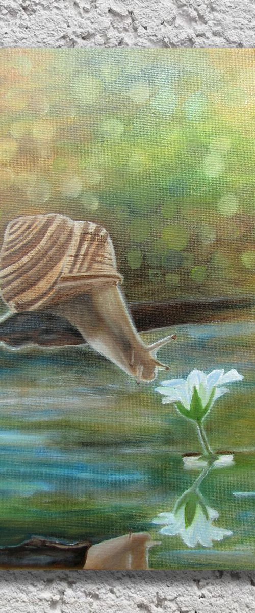 SNAIL 22x30cm by Ira Whittaker