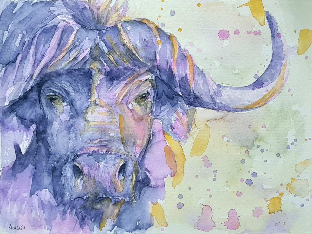 Buffalo by Tetiana Khalazii