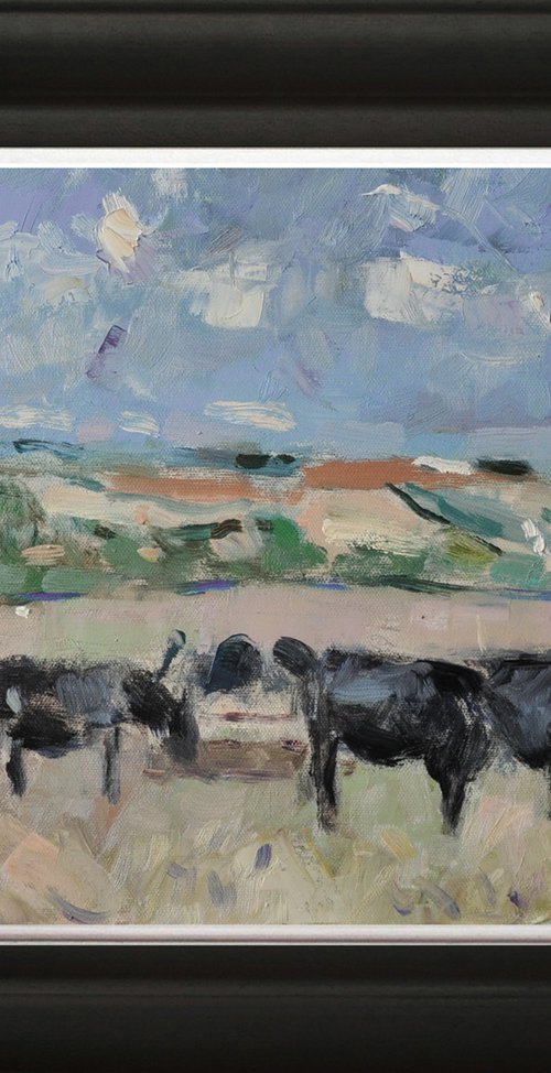 'Steers' .. by Andre Pallat